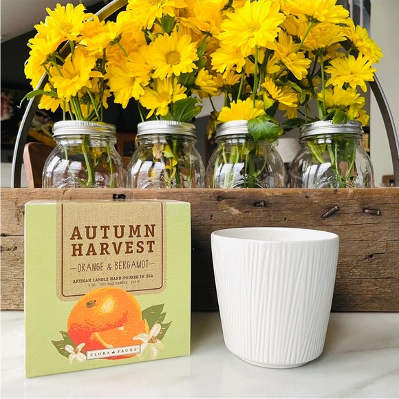 Anthropologie•NIB•Flora & Fauna•Hand-Poured Soy Wax Candle•9oz•Orange+Bergamot - Picture 4 of 16